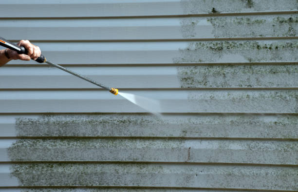 Best Roof Washing  in Hollymead, VA